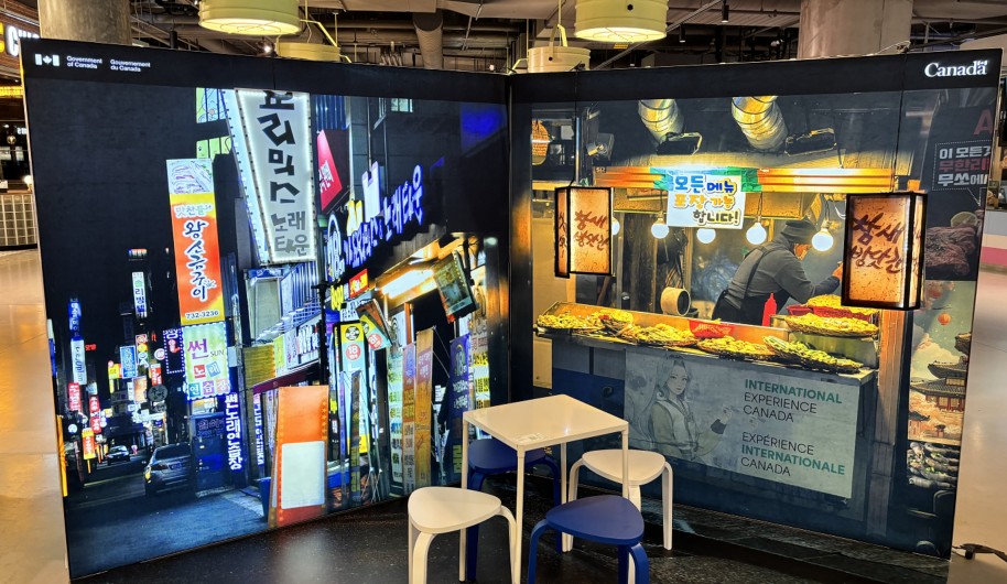 Typical activities carried out by A&W PARTNERS LTD